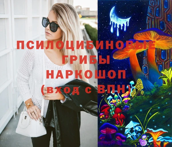 дурь Алексин