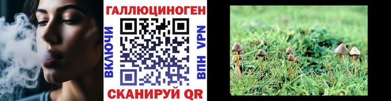 Галлюциногенные грибы MAGIC MUSHROOMS  blacksprut зеркало  Хотьково 